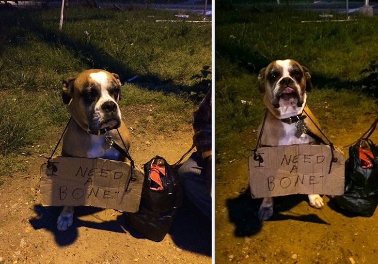 Community Unites Around Heartbroken Homeless Vet Looking to Give Up His Best Friend of 9 Years, So She Can Have a Better Life