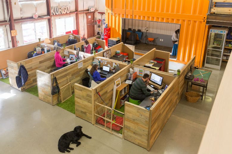 This May Be the Most Dog-Friendly Office We’ve Ever Seen