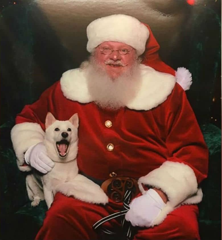 Dog Freaks Out When She Gets to Meet Her Idol: Santa