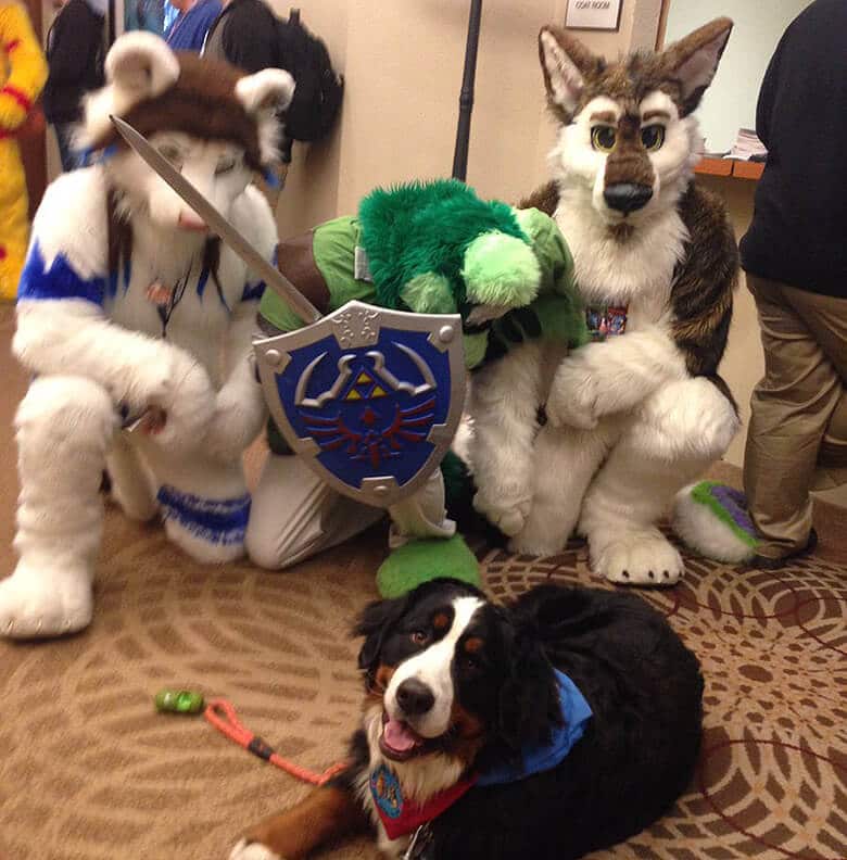 Owner Shows Up at 'Furry Con' and Is Surprised It Has Nothing to Do With Pets