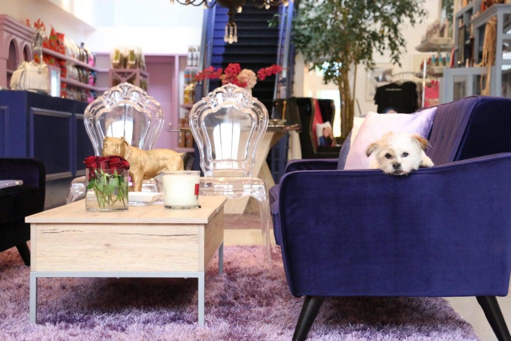 Lisa Vanderpump Unveils Gorgeous Animal Shelter in Los Angeles