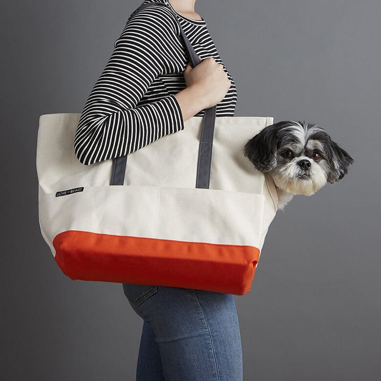 We Love These 7 Carriers for Small Dogs