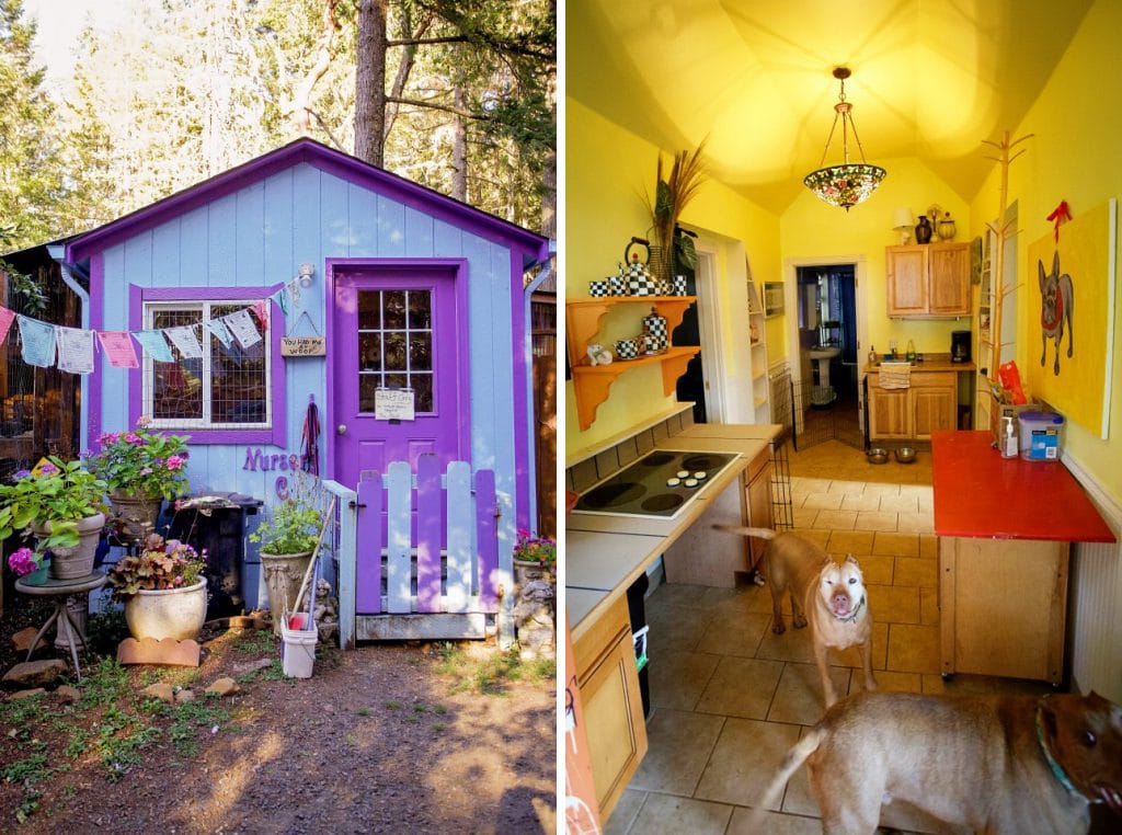 This Rescue Built Tiny Cottages for Pit Bulls While They Wait for Their Forever Home