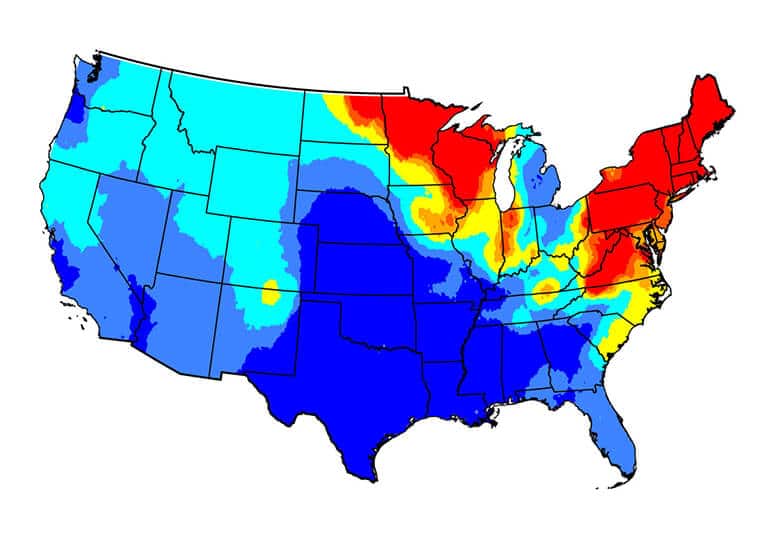 How Likely Is Your Dog to Get Lyme Disease?