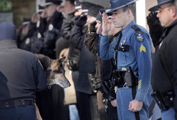 A police officer salutes a police dog in front of a crowd.