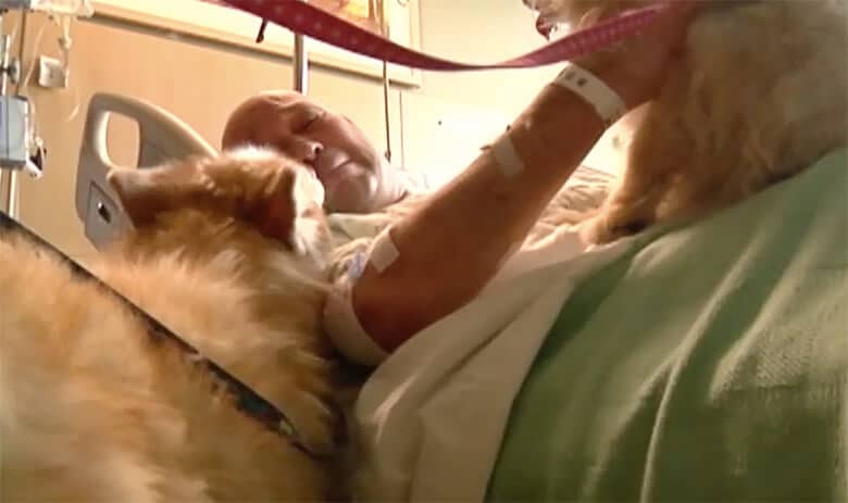 Watch: Man Reunited With Dogs He Thought Died in Tornado