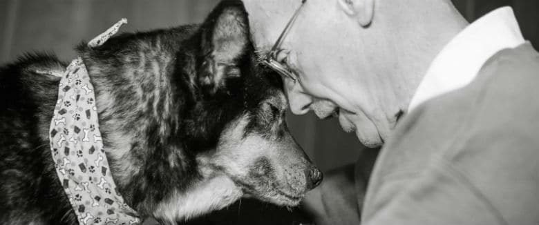 Senior Volunteer Adopts Elder Dog, Shares Sacred Last Days in Photo Series