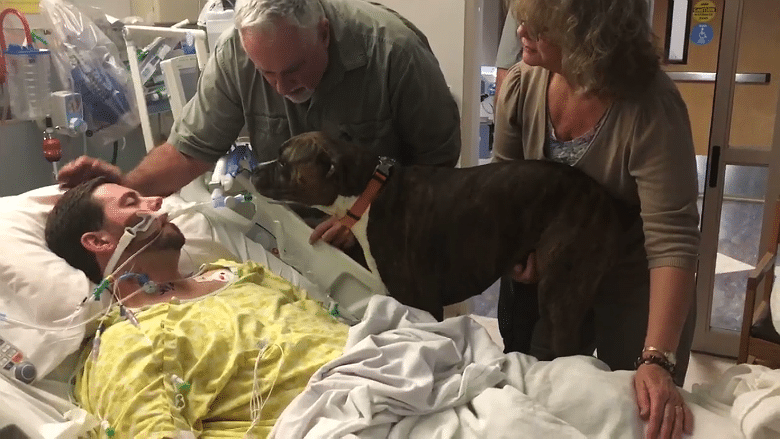 A man saying goodbye to his dog in a hospital bed.