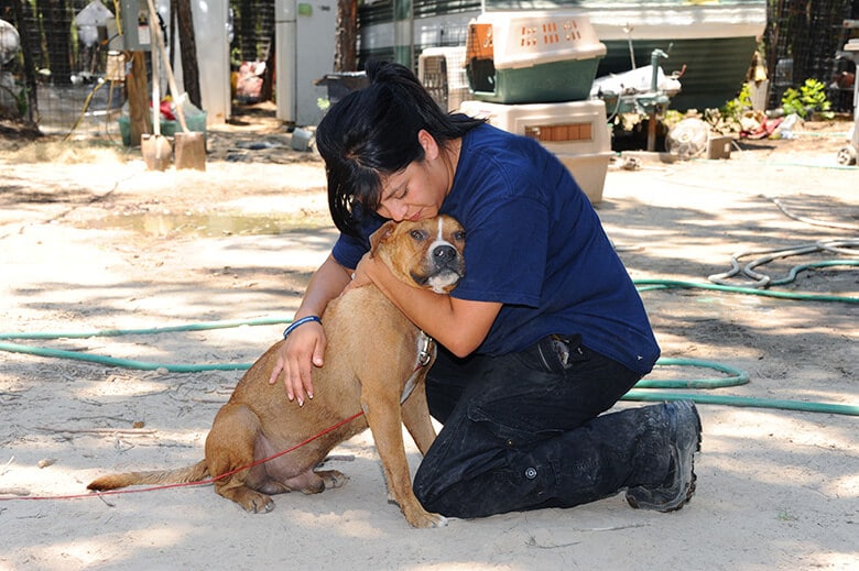 An Inside Look on What It Is Really Like to Be an Animal Cruelty Investigator