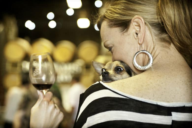 We Toast to This: Mutt Lynch Wine Let's You Enjoy a Glass While Saving Dogs