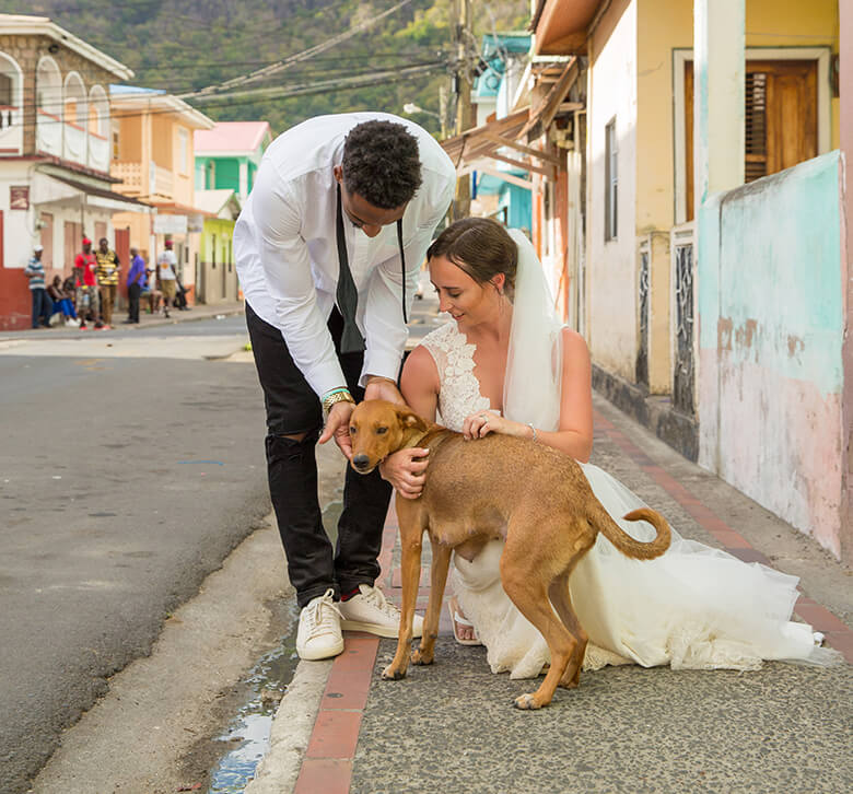 NFL Player and His Bride Forgo Wedding Gifts to Help Stray Dogs