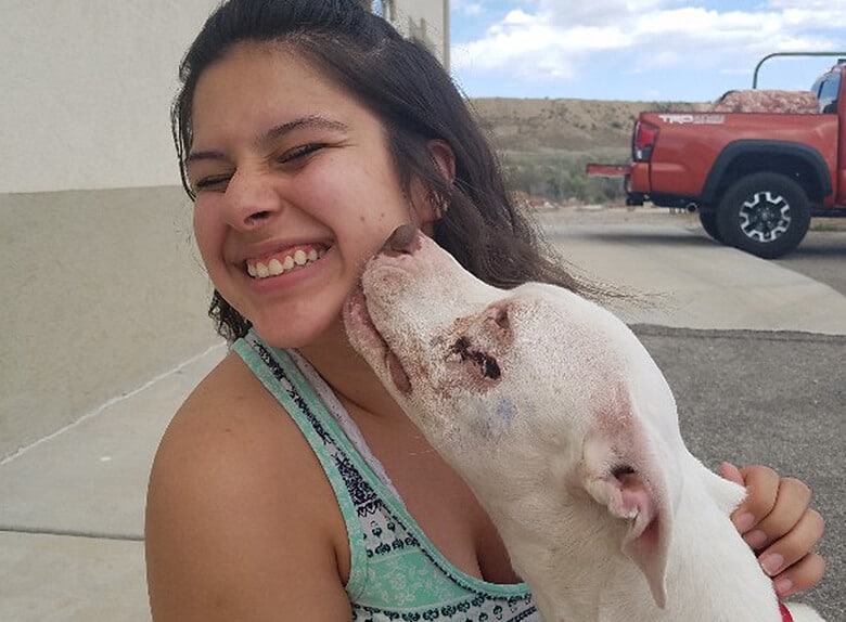 Owner Traumatized After Discovering Her Dog Was Abused and Dumped in Desert