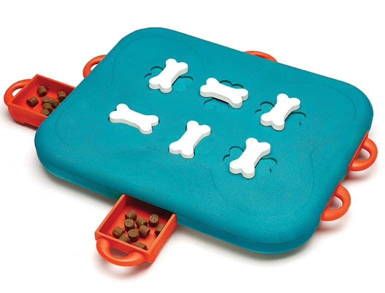 10 of the Best Interactive Puzzles and Games for Your Bored Dog