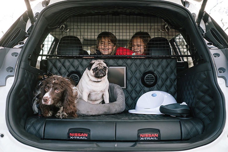 Nissan May Have the Coolest Vehicle for Dog Owners Ever