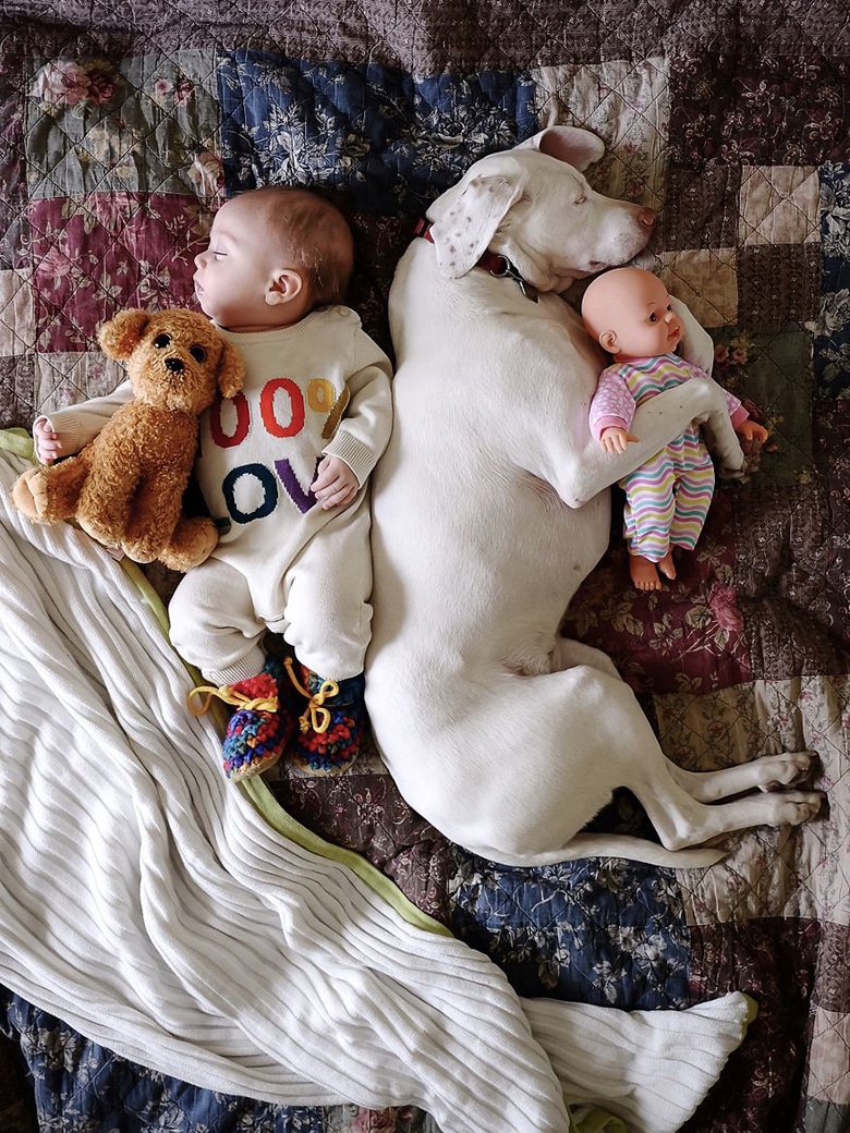 Every Day Rescue Dog Snuggles Up to Baby Boy for Nap Time Cuddles