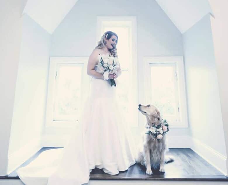 Bride's Dog Acts as Her Flower Girl on Wedding Day