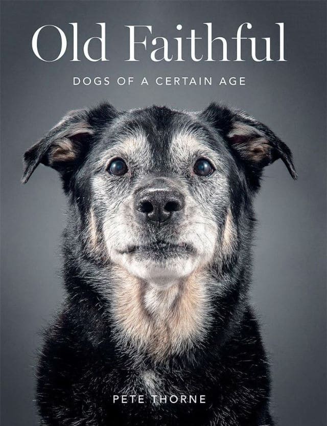 Owners Share the Special Bond They Have With Their Senior Dogs in New Book