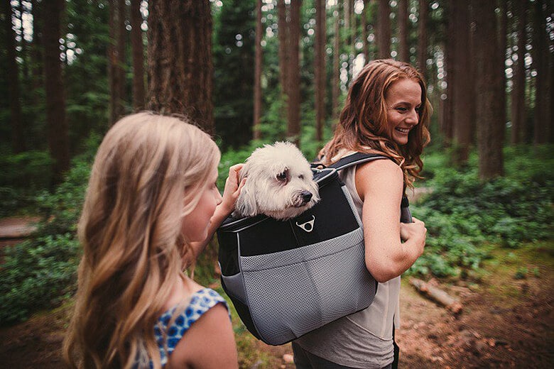 puppy hiking backpack