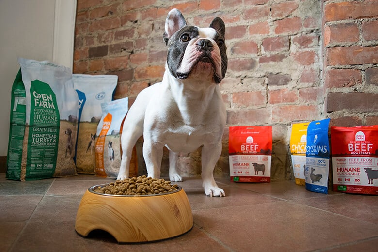 Is This the Most Transparent Dog Food Company?