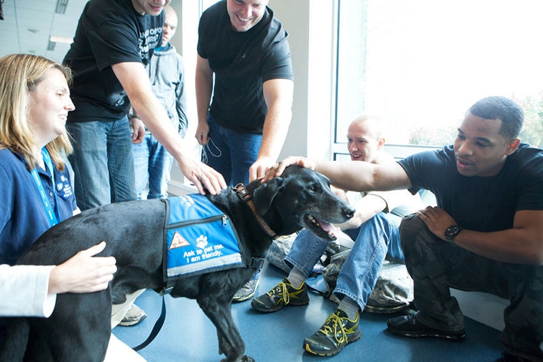 For Thanksgiving, This Airport Has Adorable Dogs Welcoming Home Our Troops