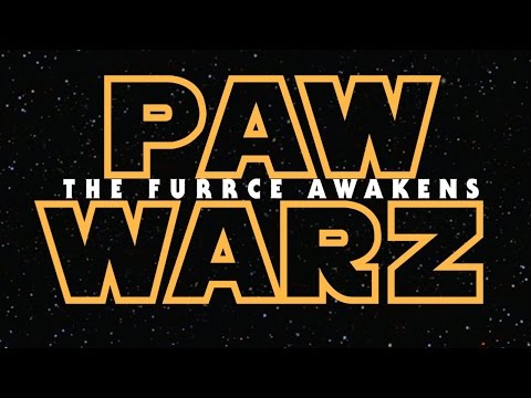 The Paw Warz logo features the fury awakens.