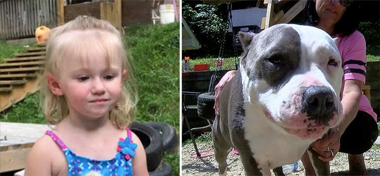 A Pit Bull Is Being Hailed a Hero After Staying By Missing 2-Year-Old Girl