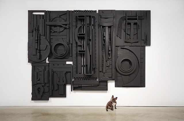 A dog named Miss Pickle standing in front of a large black sculpture.