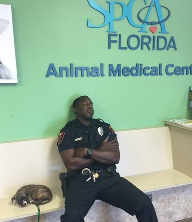 Despite Working Three 12-Hour Shifts, Police Officer Waits by Puppy Until He Knows She's Safe