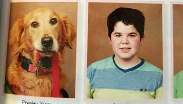 service dog in yearbook