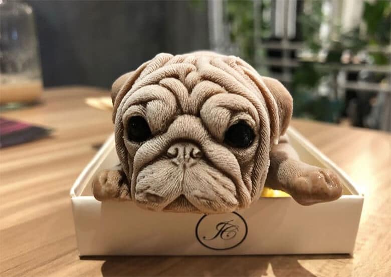 Would You Eat Ice Cream ‘Puppies?’