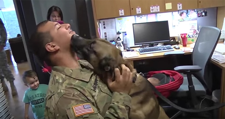 A soldier kisses his dog in an office, capturing a viral moment.