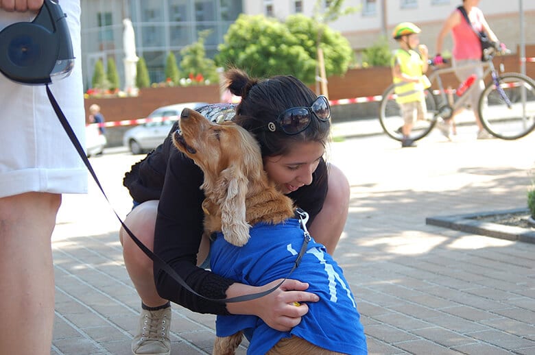 A woman petting a dog wearing a blue shirt, dubbed the "Rescue Dog," appears on Animal Planet.