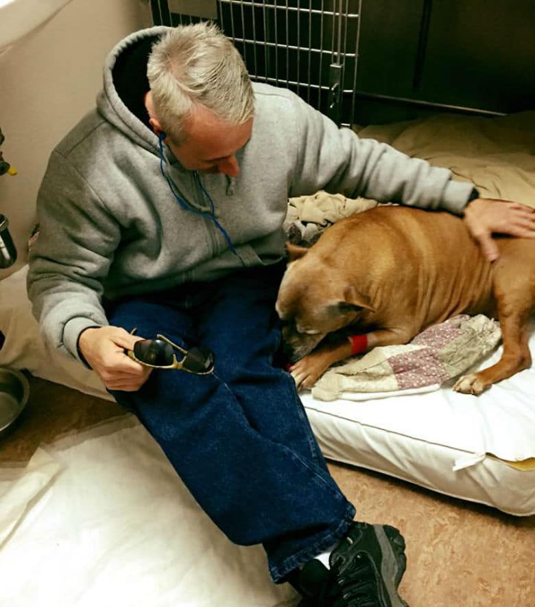 Homeless Man Can't Afford to Treat Dog's Deadly Sickness, So Stranger Offers to Pay for It All