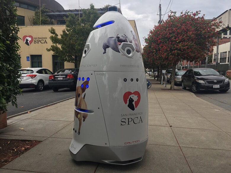 Animal Shelter Is Using a ‘K9’ Robot to Keep It Safe