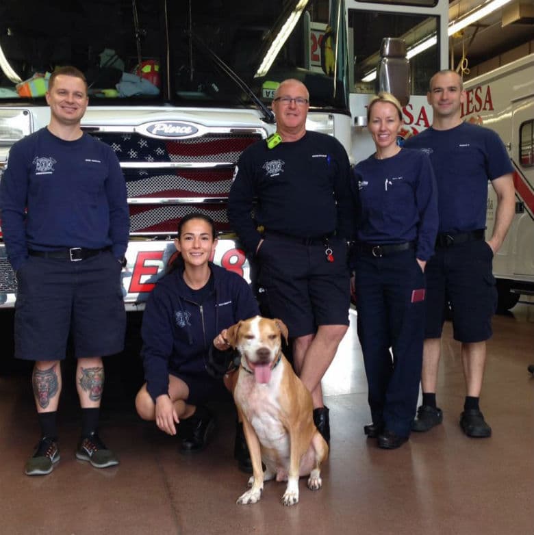 Dog With Terminal Cancer Is Living Out His Last Days Checking Off His Bucket List