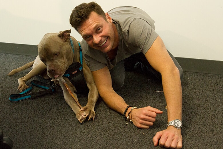 Ryan Seacrest Covers $8,000 Vet Bill for Fan’s Dog