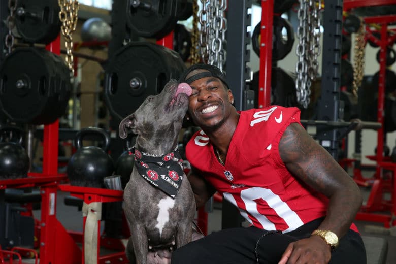 Football Players Team Up With Animal Shelters for Adorable Calendar