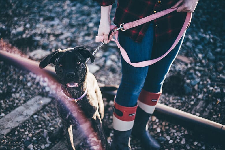 10 Scientific-Backed Reasons Having a Dog In Your Life is Better for You