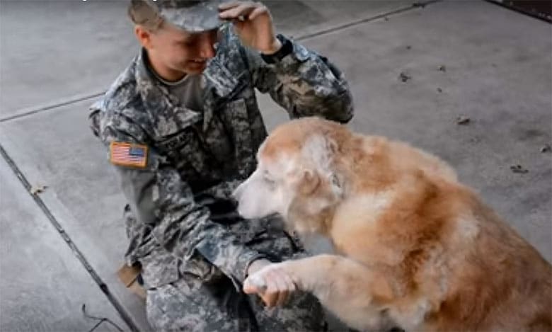 A senior soldier is petting a golden retriever.