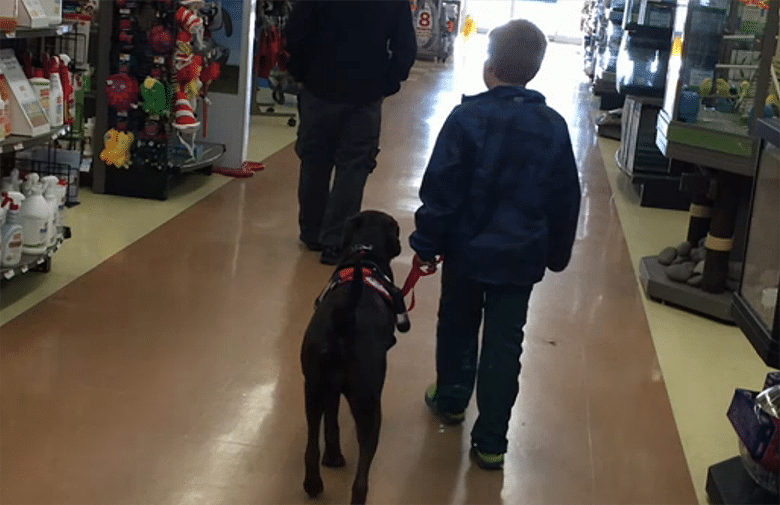 After Saving Pennies for 4 Years, Boy Finally Gets His Service Dog