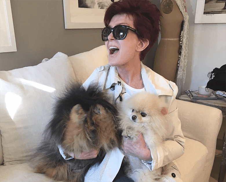 The Osbournes Opening Up a Doggy Day Care Center