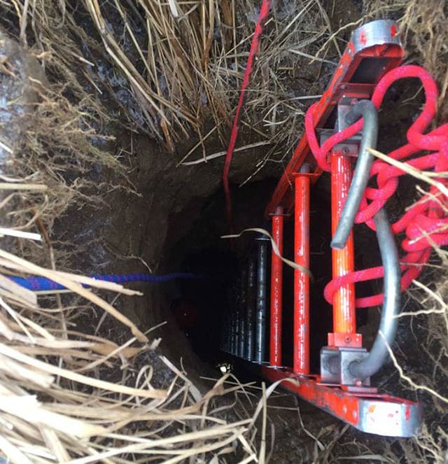 Dog Rescued After Spending Two Days in a Sinkhole