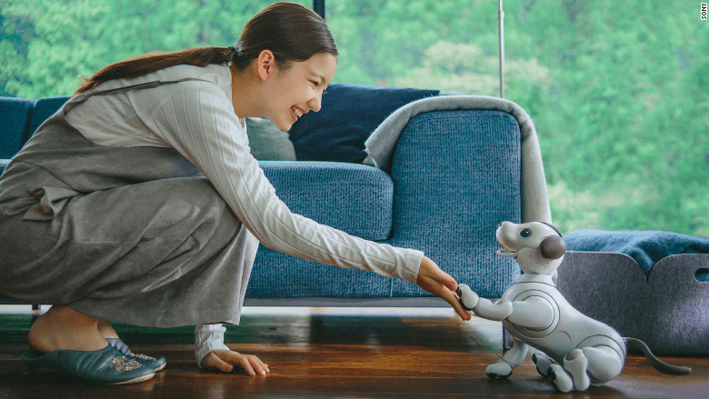 Can't Get a Dog? Sony Just Released a Robotic Version That Chases Balls, Wags His Tail and Learns Tricks.