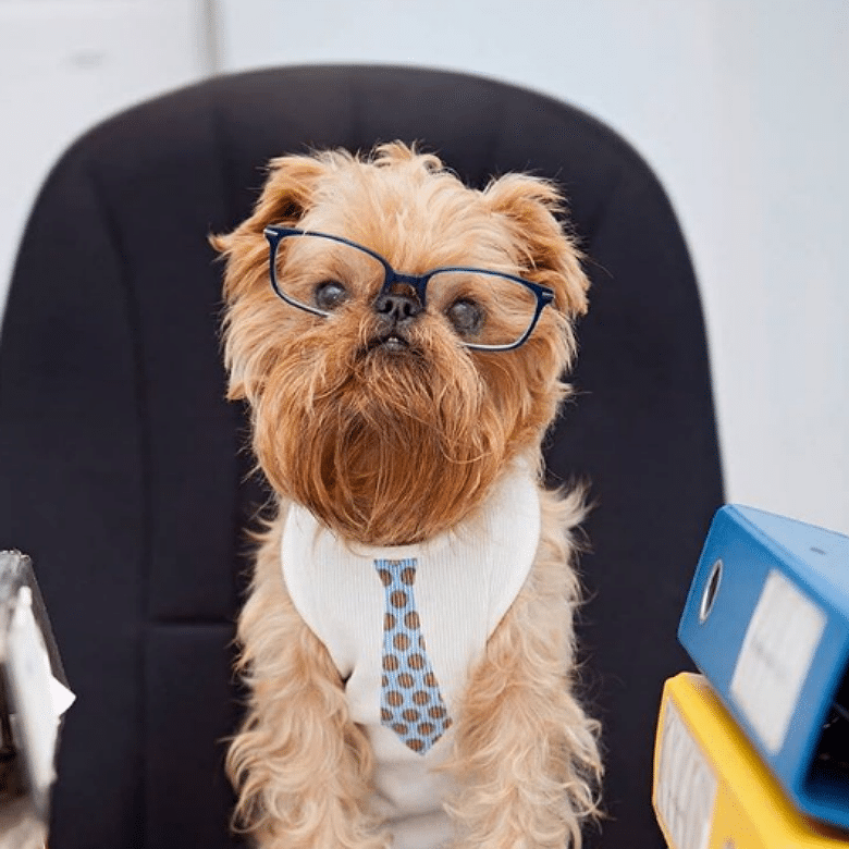 From Around the Web: The Lovers and Haters of ‘Take Your Dog to Work Day’