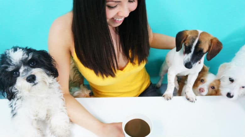 Los Angeles Lands the First Dog Cafe in America