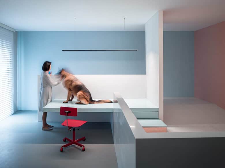 A House Was Designed Completely Based on a Dog’s Needs