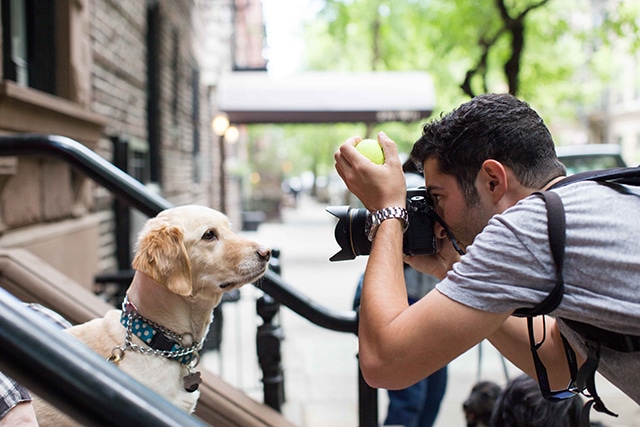 Instagram Sensation 'The Dogist' on His New Book, Life and Living His Dream