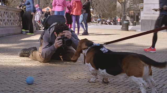 Someone Turned the Lens on Famed Photographer The Dogist