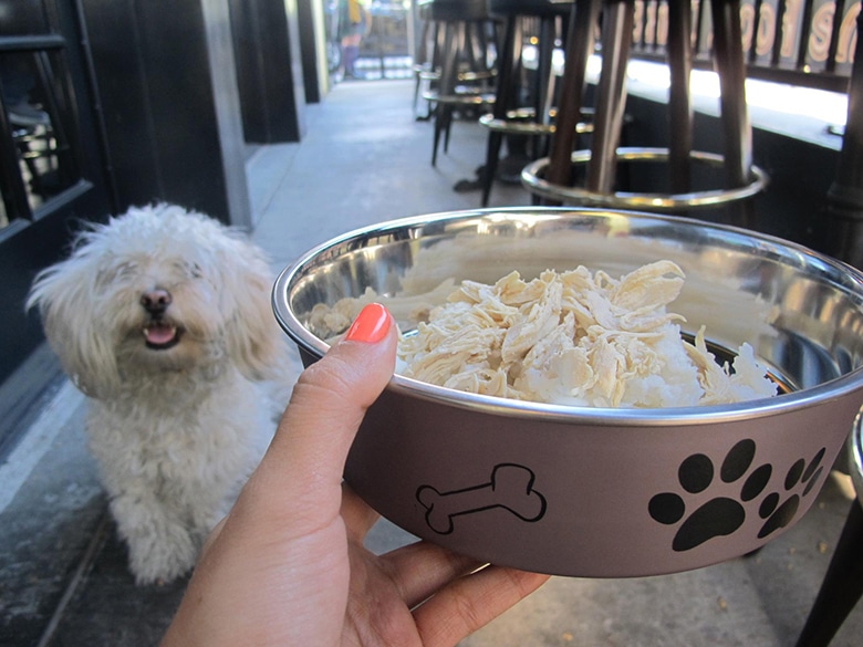 The Los Angeles Restaurant Dog Owners Can’t Stay Away From