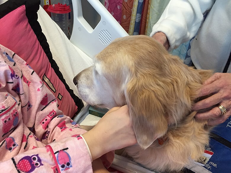 A woman is petting a therapy dog in a hospital bed.